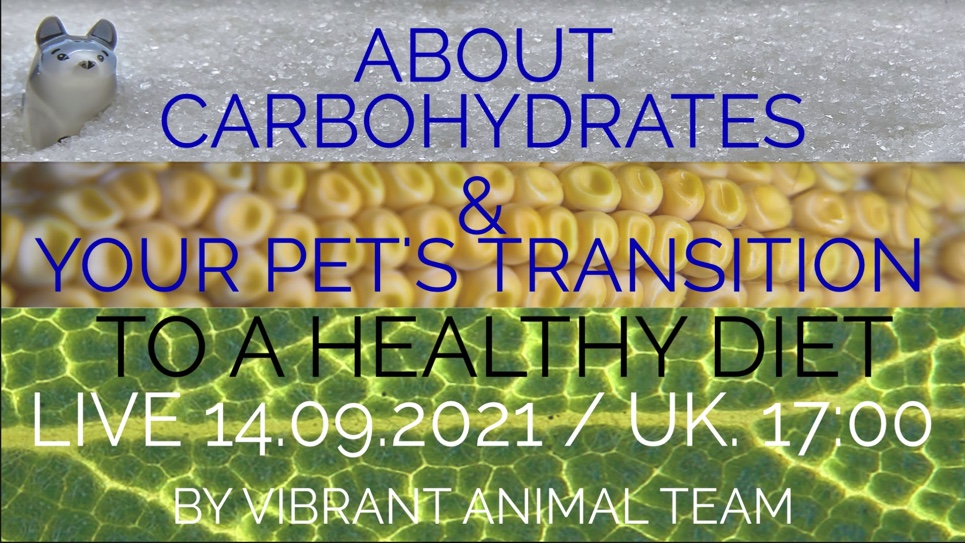 The Vibrant Animal Team: LIVE Tues 14th : Are Carbs Good For our Pets & How to Transition to a Healthy Diet