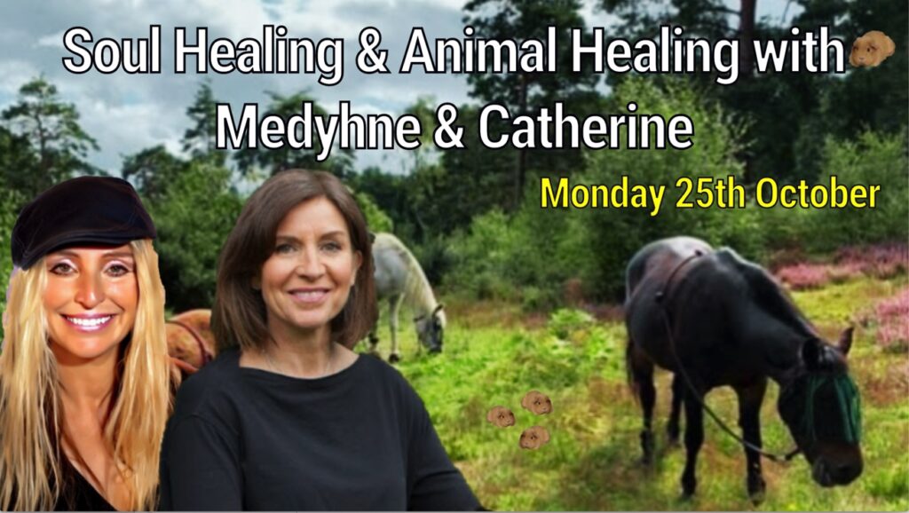 Soul & Animal Healing with Medyhne & Catherine 25th Oct 21