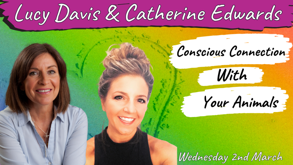 Lucy Davis & Catherine: Conscious Connection With Your Animals