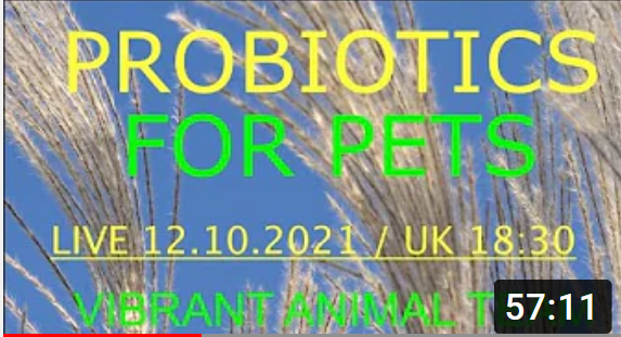 LIVE: The Vibrant Animal Team Probiotics for Pets – Good or Bad?