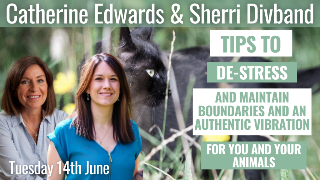 Sherri Divband & Catherine Edwards:Tips to De-Stress, Maintain Boundaries and An Authentic Vibration