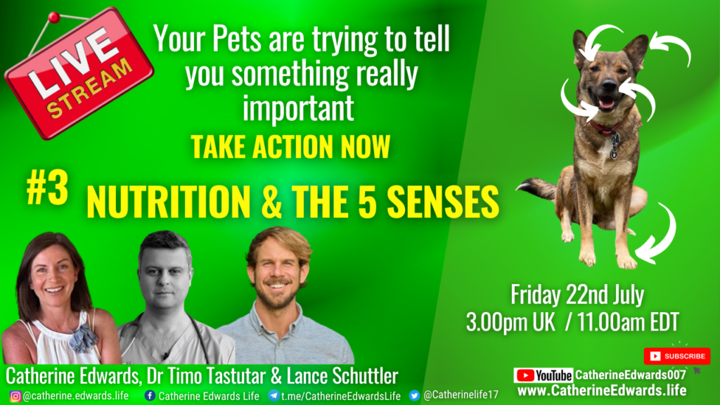 LIVE: Your Pets Are Trying To Tell You Something Really Important #3 Nutrition & the 5 Senses