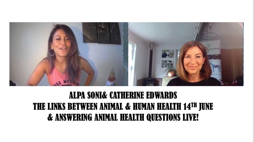 Alpa Soni & Catherine Edwards – the link between Human & Animal Health & Ansering Animal Health Questions Live 14th june