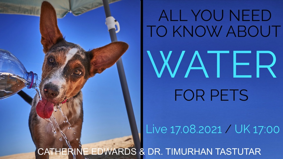 ALL YOU NEED TO KNOW ABOUT WATER FOR PETS: THE VIBRANT ANIMAL TEAM 17TH AUG 21 LIVE
