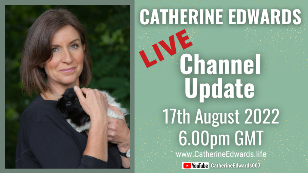 LIVE Channel Update With Catherine – 17th August 22